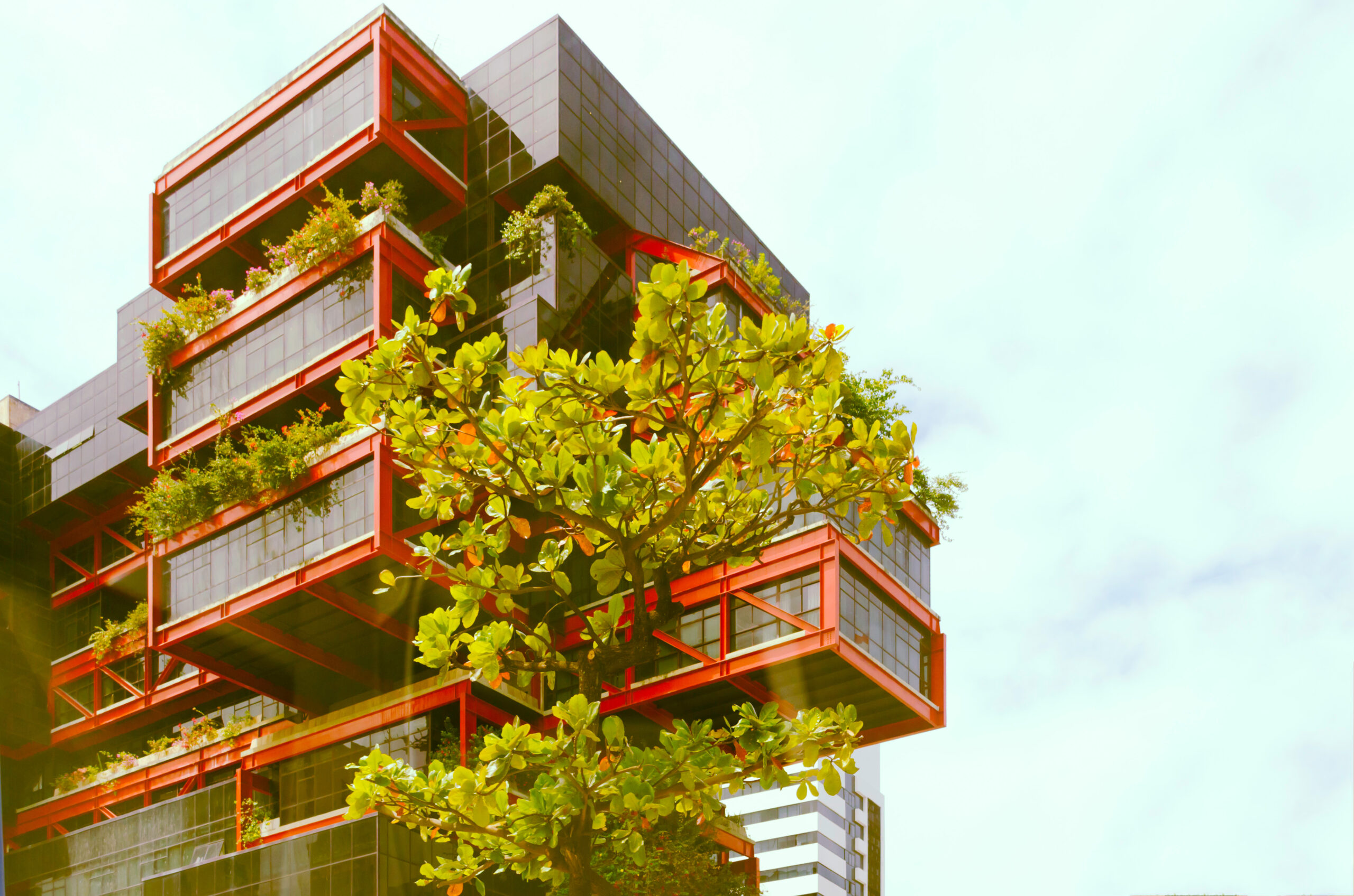 Foto de uma casa com design futurista e sustentável em salvador. As janelas são envidraçadas e há várias plantas na fachada. 