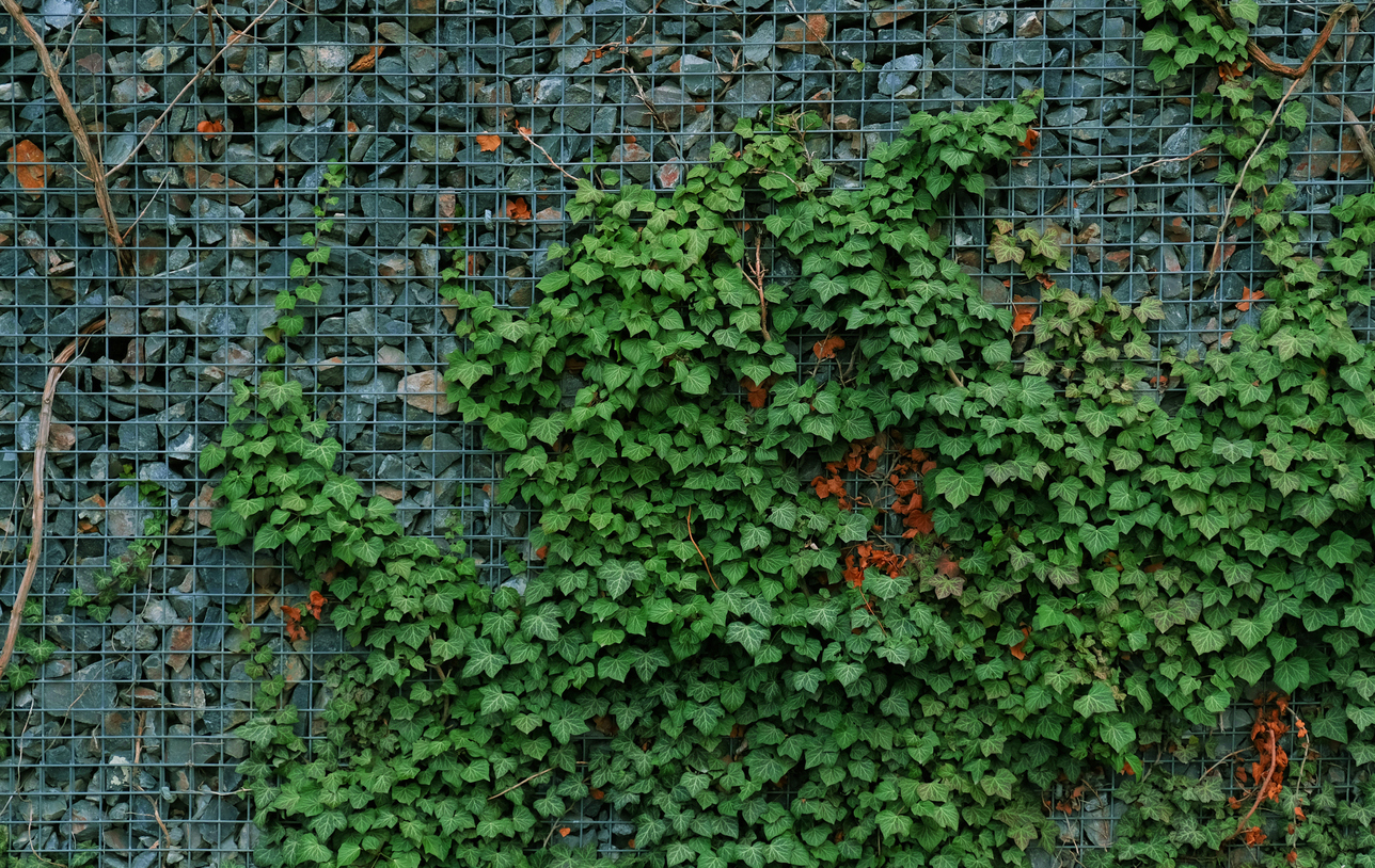 A imagem mostra um muro de gabião com aplicações de plantas e vegetação verde. 